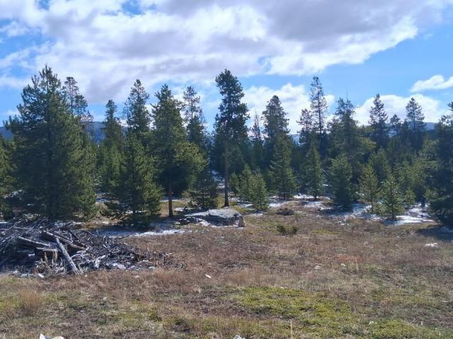 Commercial for sale in Grand Lake, Colorado