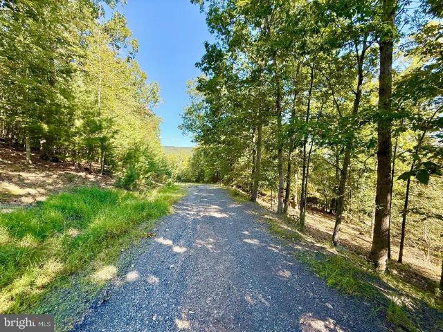 Land for sale in Franklin, West Virginia