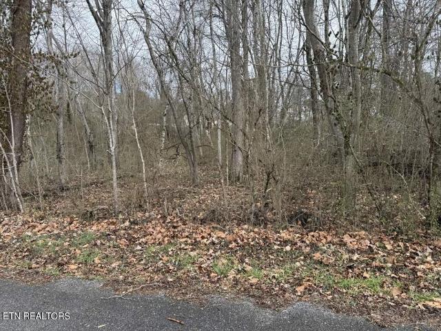 Land for sale in Tennessee