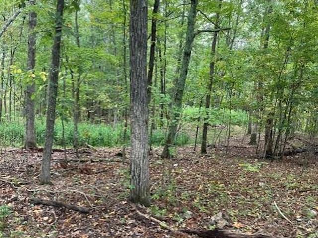 Land for sale in Fredericktown, Missouri
