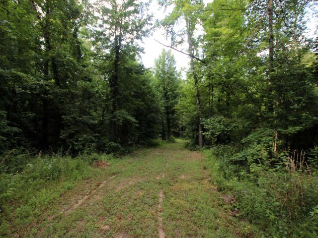 Land for sale in Ark