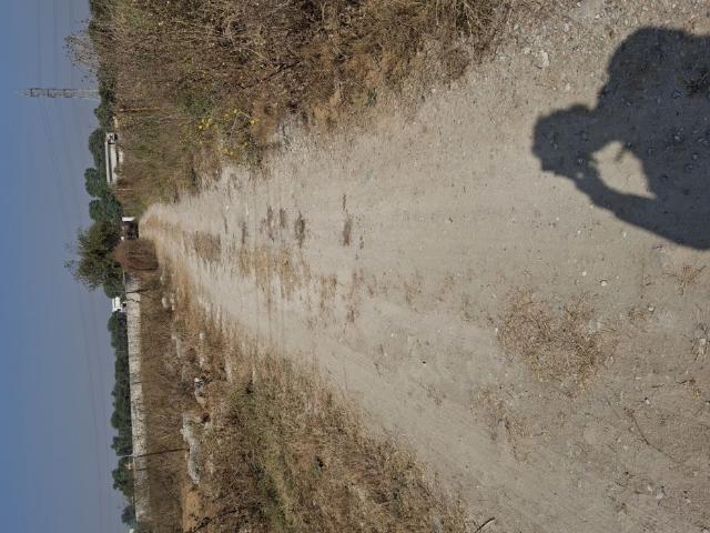 Land for sale in Moradabad, Arunachal Pradesh