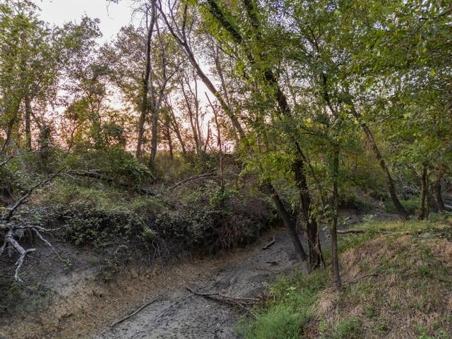 Land for sale in Limestone, Texas