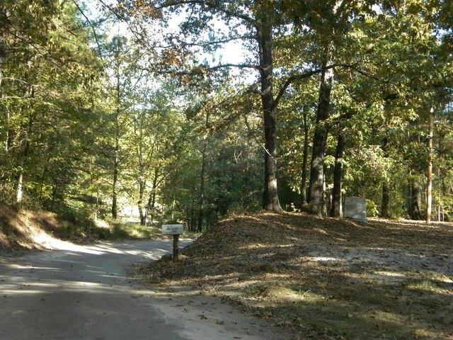 Land for sale in Palmersville, West Tennessee