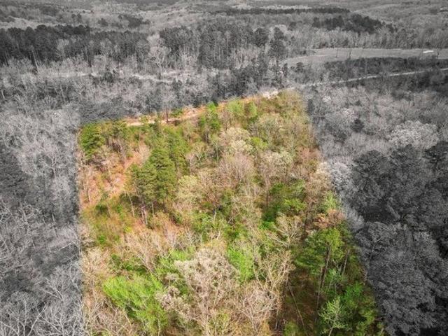 Land for sale in Ark