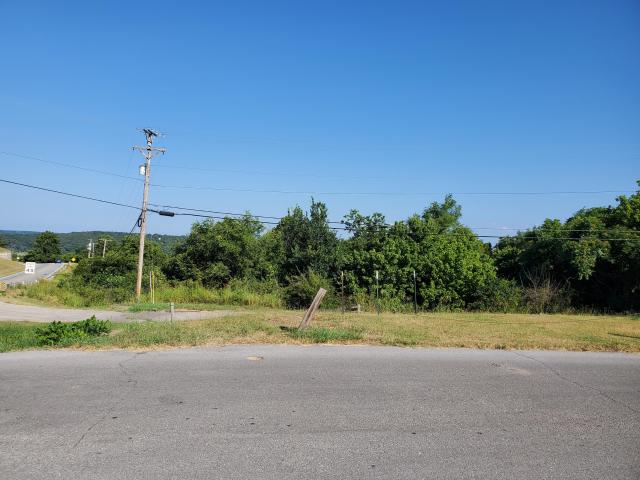 Land for sale in Forsyth, Missouri