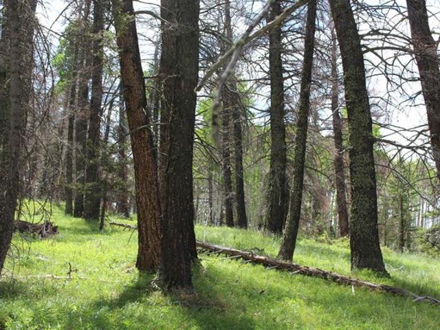 Land for sale in Montrose, Colorado