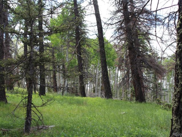 Land for sale in Cimarron, Gunnison County