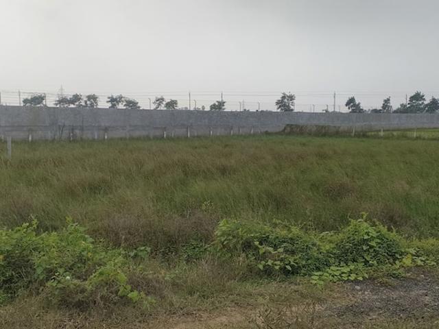 Land for sale in Potti, Andhra Pradesh