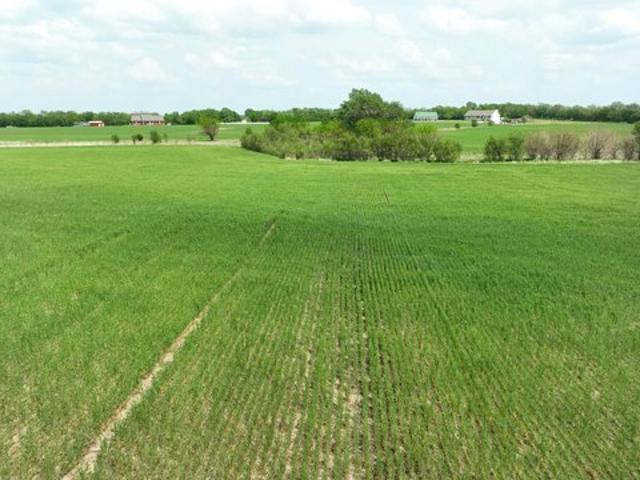 Land for sale in Kansas