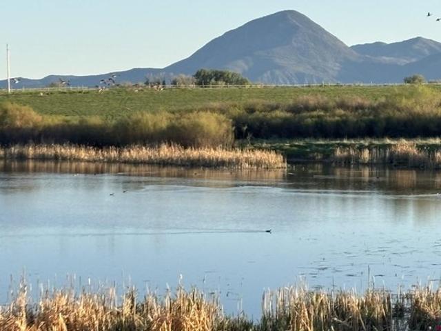 Farm for sale in Montezuma, Colorado