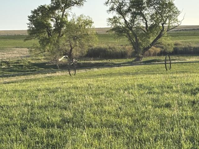 Land for sale in Montezuma, Colorado