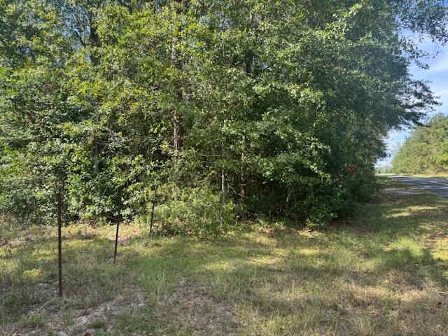 Land for sale in North, South Carolina