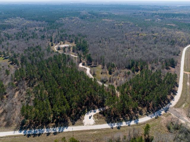 Land for sale in Lovelady, Texas