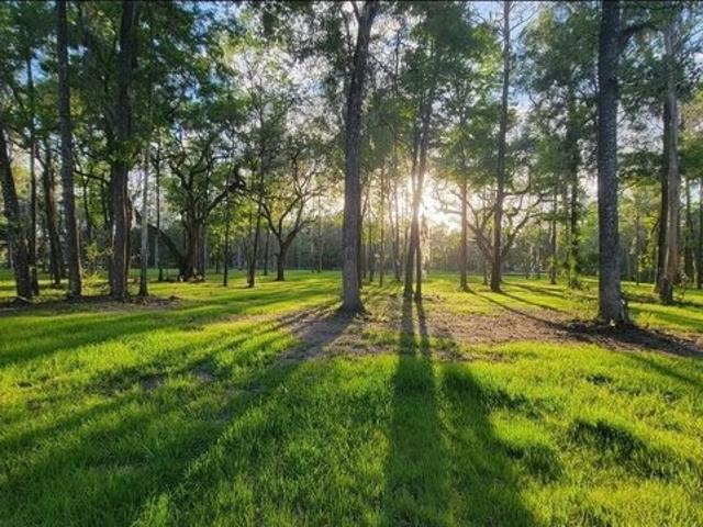 Land for sale in Reddick, Florida