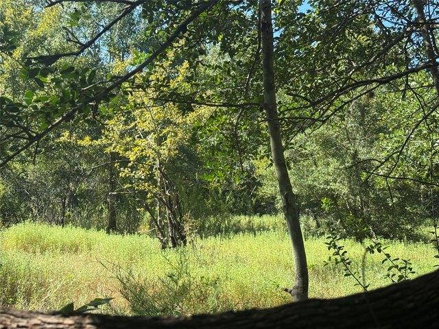 Land for sale in Brenham, Washington County