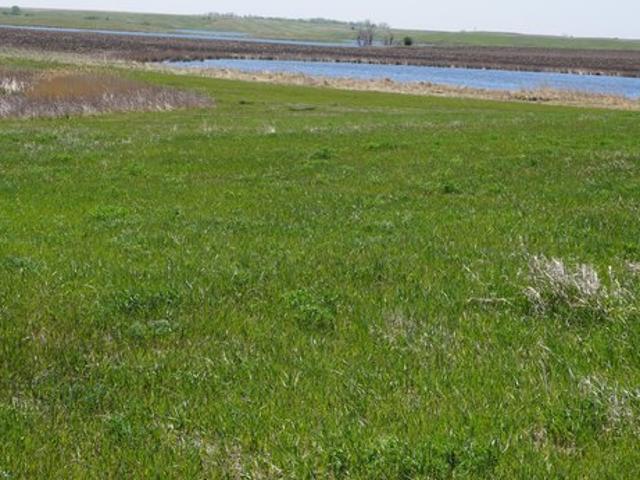 Land for sale in South Dakota