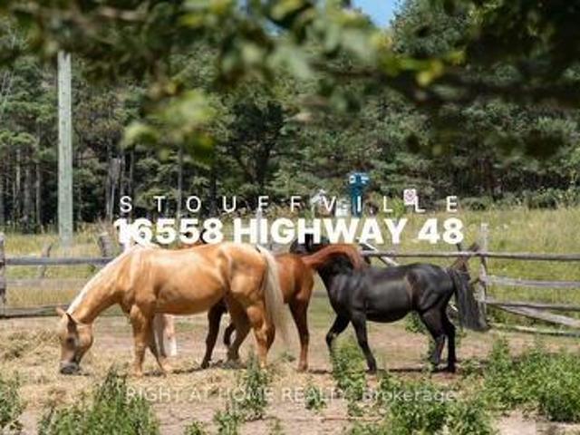 House for sale in York, Ontario