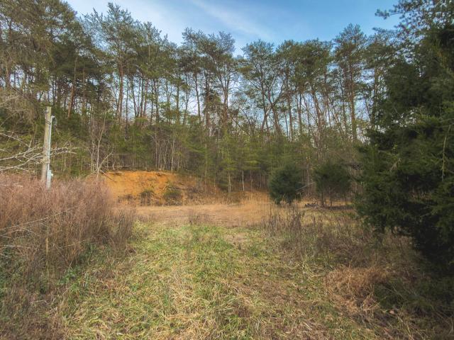 Land for sale in Tennessee