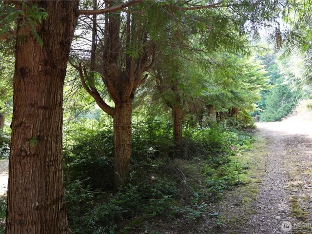 Land for sale in Bremerton