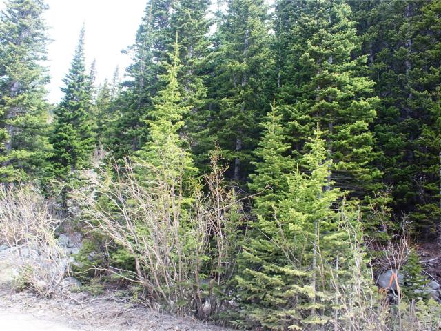 Land for sale in Clear Creek, Colorado