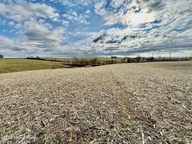 Land for sale in Springfield, Kentucky