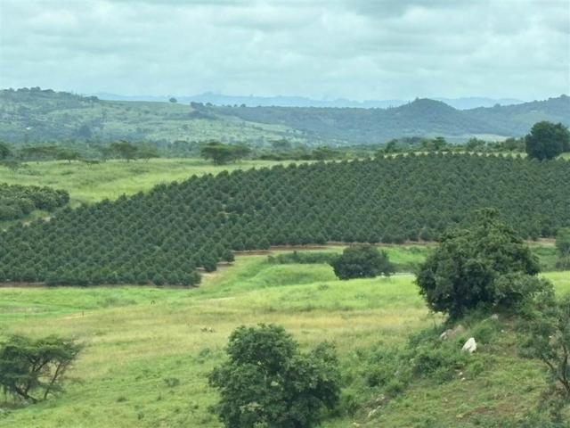 Farm for sale in Mopani, Limpopo