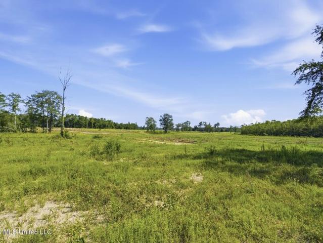 Land for sale in Lucedale, Mississippi