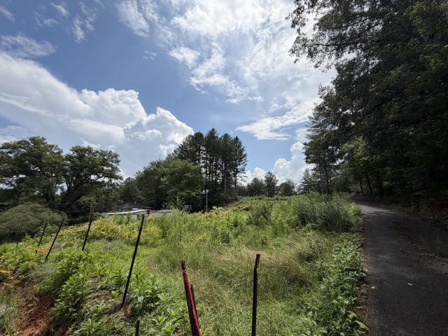 House for sale in Staffordtown, Copperhill