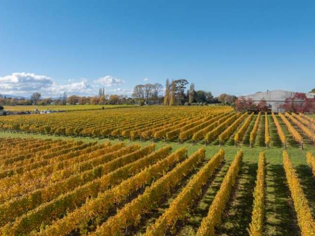 Property for sale in Blenheim Central, Marlborough