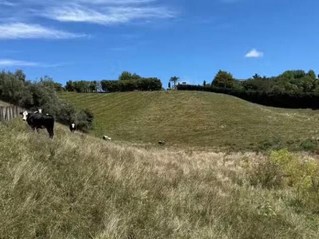 House for sale in Hastings, Hastings District