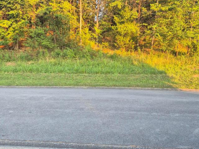 Land for sale in Tennessee