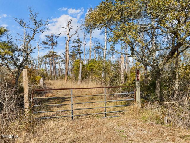 Land for sale in Marshallberg, North Carolina