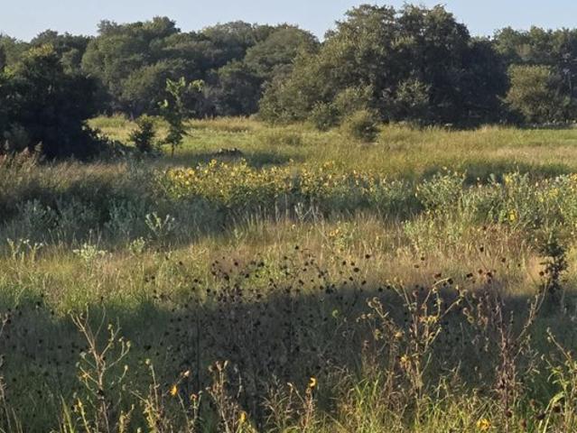 Land for sale in Oglesby, Texas