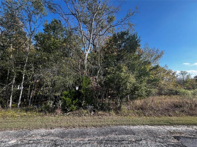 Land for sale in Coldspring, Texas