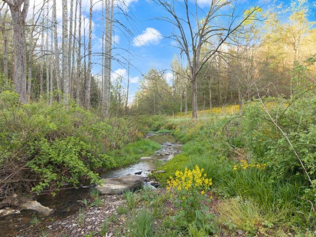 Land for sale in Menifee, Kentucky