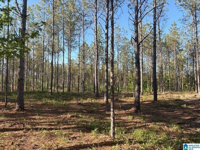 Land for sale in Columbiana, Alabama