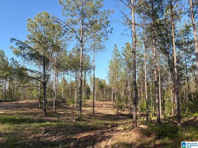 Land for sale in Columbiana, Alabama
