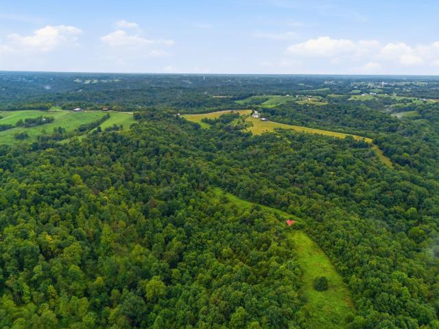 Farm for sale in Mount Olivet, Kentucky