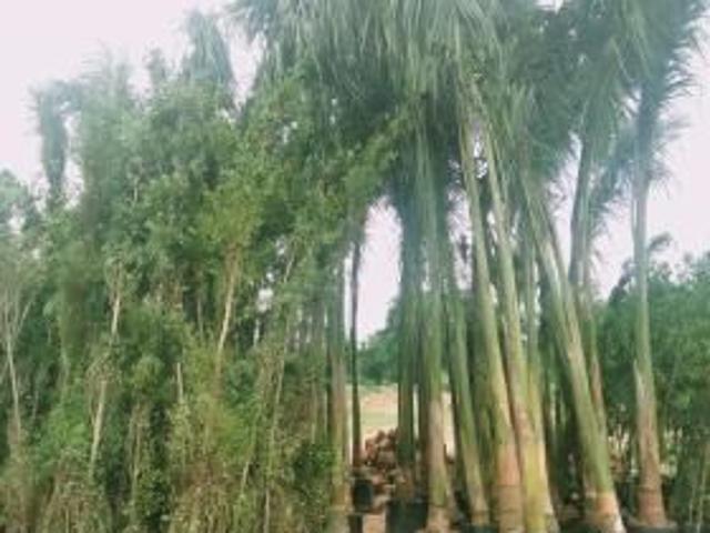 Land for sale in Andhra Pradesh