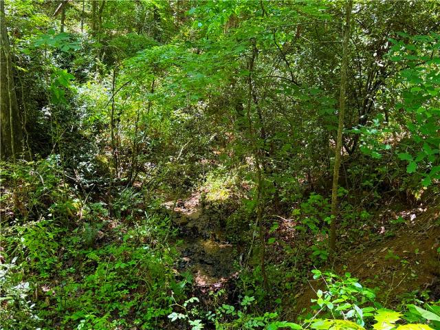 Land for sale in Clemson, South Carolina