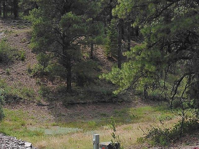 Land for sale in Pagosa Springs, Colorado