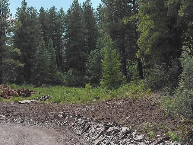 Land for sale in Pagosa Springs, Colorado