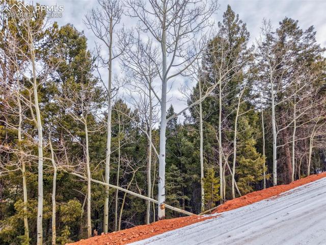 Land for sale in Divide, Teller County