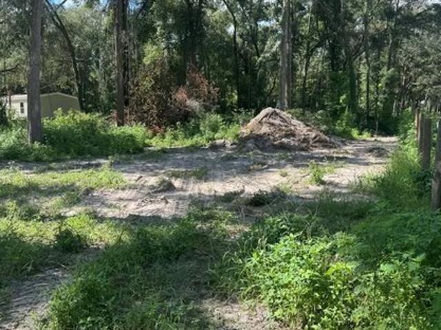 Land for sale in Trenton, Florida