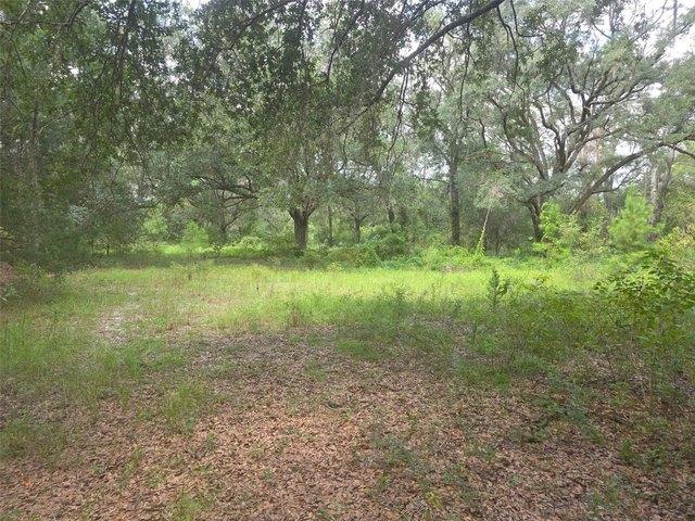 Land for sale in Gainesville, Alachua County
