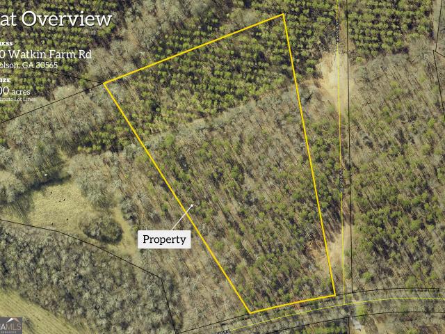 Land for sale in Nicholson, Georgia