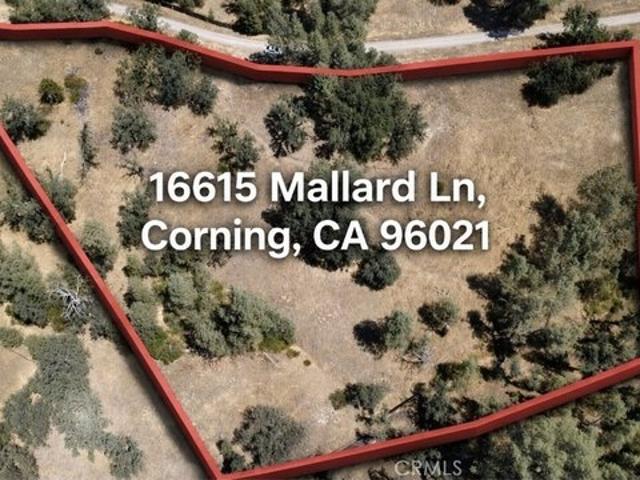 Land for sale in Corning, California