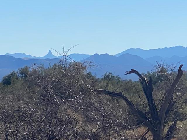 Land for sale in Rio Verde, Arizona