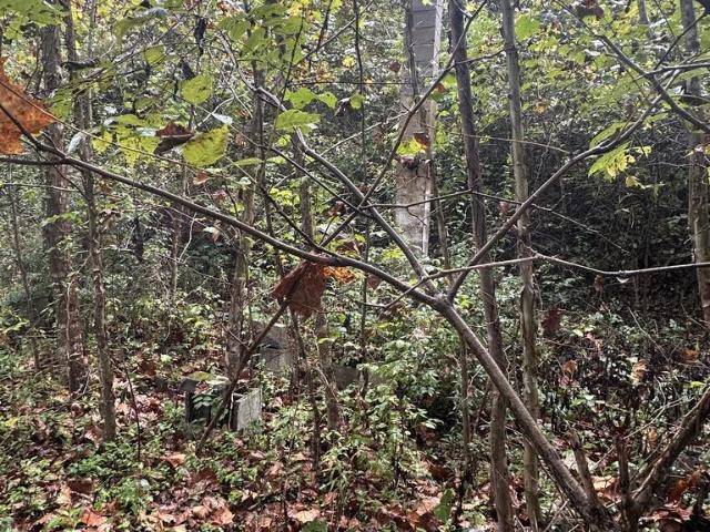Land for sale in Honaker, Russell County